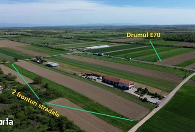 Teren de 8596 mp, în Gavojdia - 1