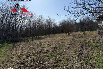 Casă cu 4 camere cu Teren 7701 Mp în Vințu de Jos - 13