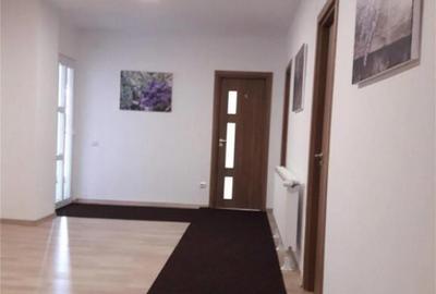 Spatiu comercial zona Calea Dumbravii - 1