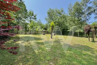 Cabana rustica de vis pe Valea Avrigului – un colt de rai in mijlocul naturii - 4