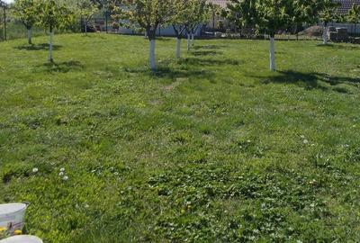 Casă cu 4 camere cu Teren 1190 Mp în Parța - 10