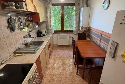 2 camere, mobilat și utilat, cu cămară și balcon –  Pet Friendly - 14