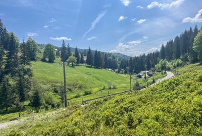 Spațiu comercial, în Arieșeni - 6