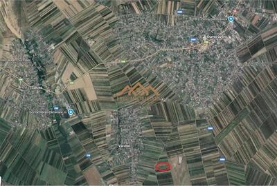 Teren Extravilan | Dumbraveni Varatec - 2