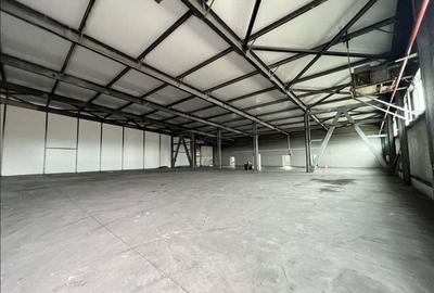 Spațiu industrial, 1310 mp în Mehala