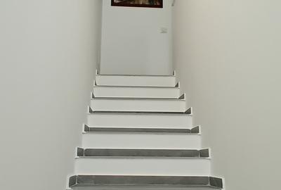 Otopeni-Casa in triplex-Pet Friendly - 6