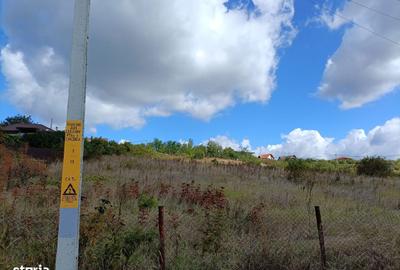 Spațiu comercial, în Țuțora - 3