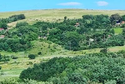 Teren de 5000 mp, în Boboci - 1