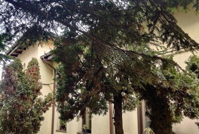 Casă individuală cu 4 camere cu Canalizare în Parcul Carol - 15