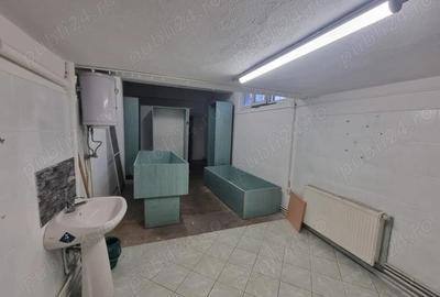 Spațiu comercial, de 110 mp, în Seleuș - 10