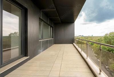 Herastrau Sos Nordului stradal 4 camere URIAS 250 mp utili - 16