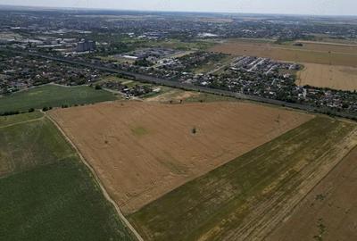 Tern intrevilan 4003 mp - 13