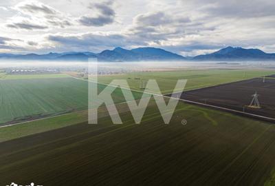 Teren de 16000 mp, în Hărmanului - 3