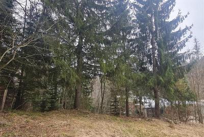 Vila versatila, dubla oportunitate: rezidential exclusivist si potential comerci - 6