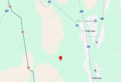 Teren extravilan Varlezi, cota parte 1/4, ID: R2730271 - 3