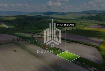 Teren agricol intravilan de 687 mp, în Aninoasa - 1