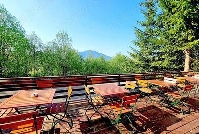 Predeal - Pensiunea Toledo. - 11