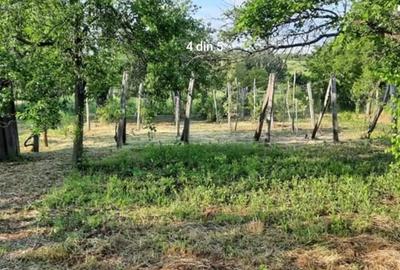 Vand Gospodarie CU Carte Funciara 3000MP - 4