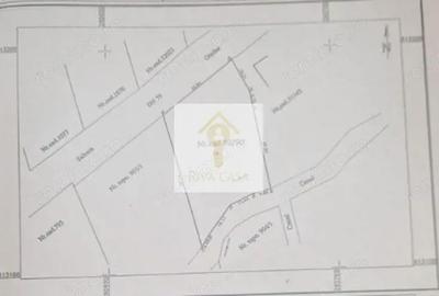 Vanzare - Doua terenuri intravilane alaturate in comuna Nojorid, Bihor - 1