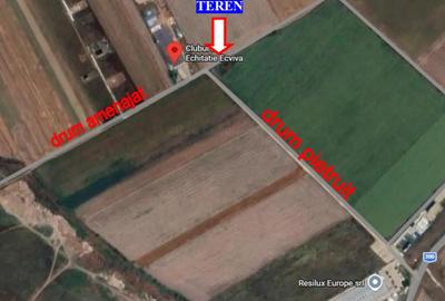 Teren de 10000 mp, în Dascălu - 5