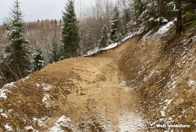 Teren de vanzare Marisel | Panorama & Intimitate - 5