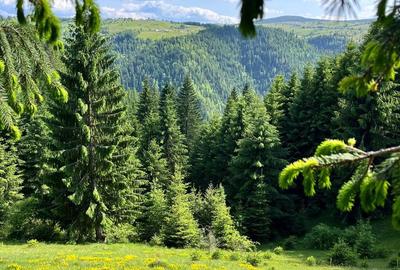 Spațiu comercial, în Mărișel