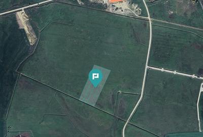 Teren industrial în Sânandrei, aproape de DN69 - 1