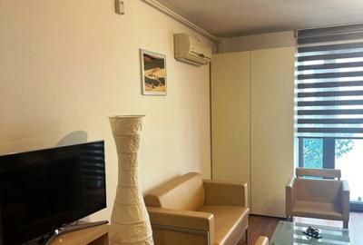 Ideal birou- Garsoniera Pache Protopopescu- Iancului Ideal birou- Garsoniera Pache Protopopescu- Iancului - 3