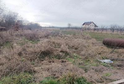 Teren de 3000 mp, în Vad