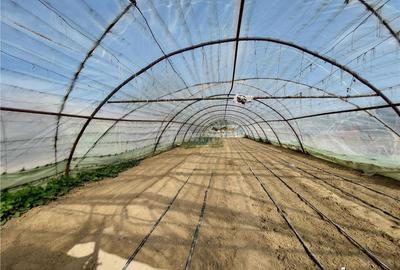 Casă cu 4 camere cu Teren 1270 Mp în Central