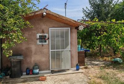 Teren de 1030 mp, în Chiroiu-Pământeni - 6