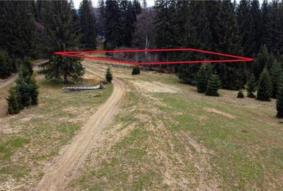 FILM! 1.000 mp,PUZ,regim P 2 M,destinatii turistice rezident - 13