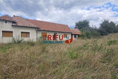 Casă cu 4 camere în Drâmbar