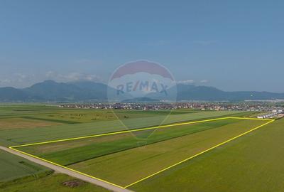 Teren 42,000mp Tarlungeni / Strada Izvor - 1