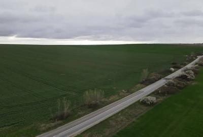 Teren Construcții intravilan de 27 mp, în Giarmata - 4