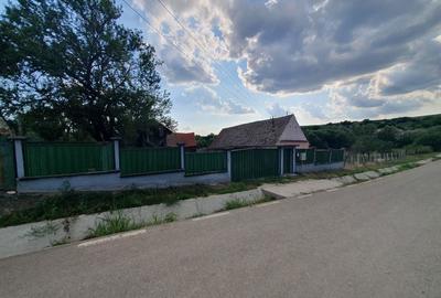 Casă cu 2 camere în Armeni - 2