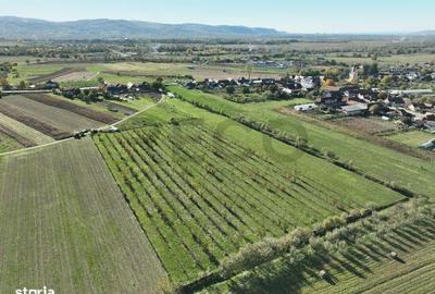 Spațiu comercial, în Aușeu - 6