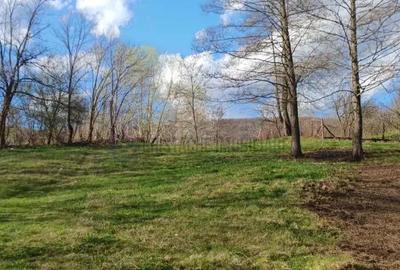 Teren de 7489 mp, în Hotarele - 5