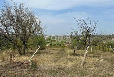 Teren de 1665 mp, în Dealuri Oradea