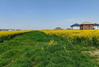 Teren 469 mp Vidra - utilitati la lot, plata in rate - 8