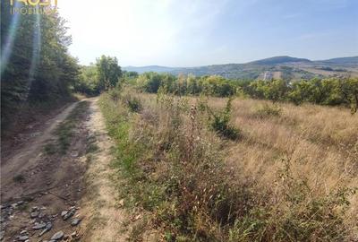 Teren extravilan zona - 5