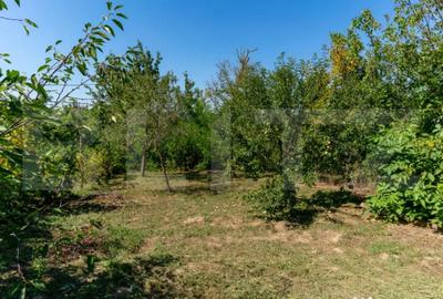 Casă cu 3 camere cu Teren 4000 Mp în Rovina (Brănișca) - 10