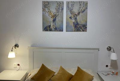 Vand aprtament 2 camere Lujerului - 5