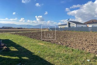 Teren Construcții intravilan de 3500 mp, în Cristian - 1