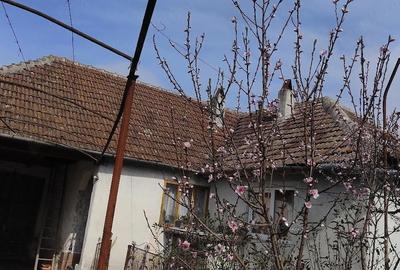 Casă cu 5 camere cu Teren 2200 Mp în Coșdeni - 1