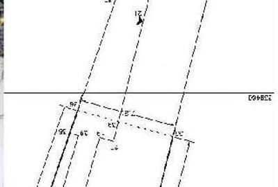 Casa singur curte, gradina mare frumoasa, Eminescu,Tunari - 10