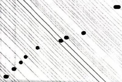 Teren extravilan Mogosani, ID: R2868327 - 7