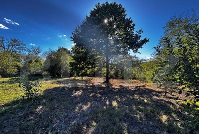 Casă cu 3 camere cu Teren 1173 Mp în Debarcader - 2