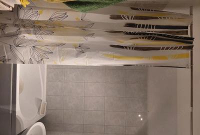 Garsonieră nedecomandată în Calea Moldovei - 4