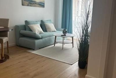 Apartament cu 2 camere decomandat, mobilat în Torontalului - 13